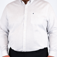 Camisa Estilo Estampado de Vestir Casual Manga Larga Talla Extra 2311574