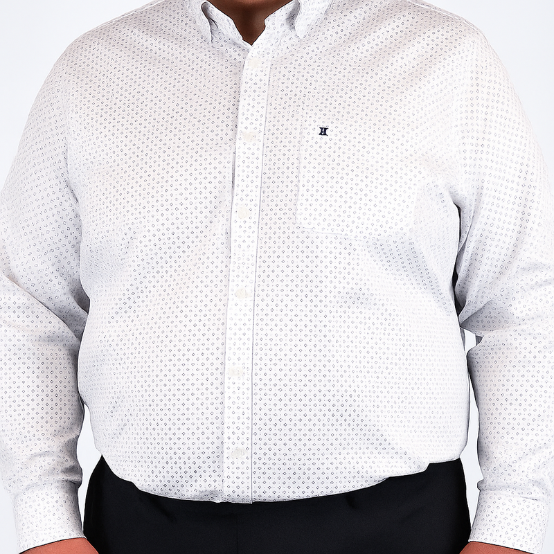 Camisa Estilo Estampado de Vestir Casual Manga Larga Talla Extra 2311574