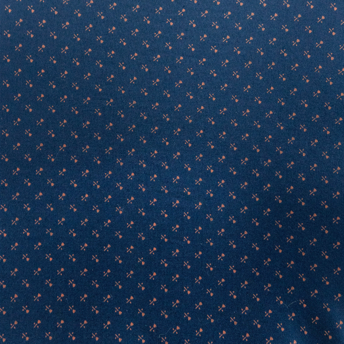 Camisa Estampado Azul Manga Larga 100% Algodón 2416084