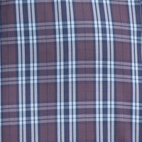 Camisa de Cuadros Azul Manga Larga 100% Algodón 2510269 - dioromx