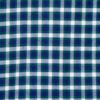 Camisa Cuadros Azul Manga Larga 100% Algodón 2608159