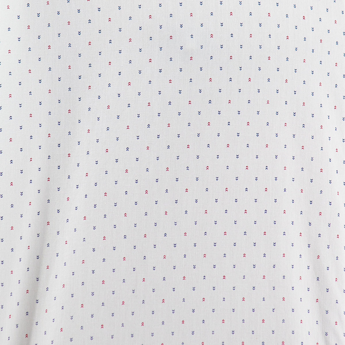 Camisa Blanca con Estampado de Manga Corta 100% Algodón Talla Extra 2311600