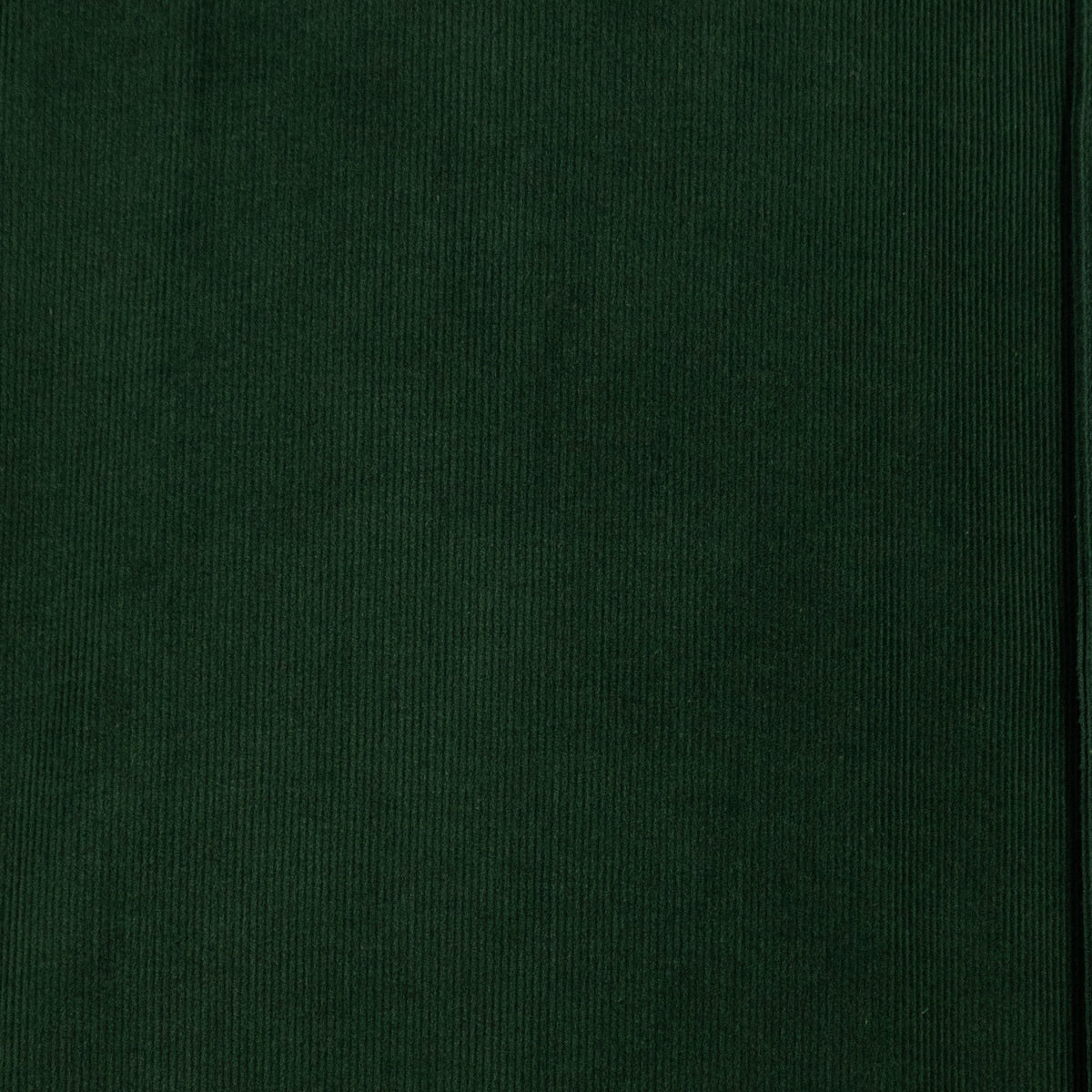 Camisa de Pana Verde con Manga Larga 100% Algodón Talla Extra 2210173