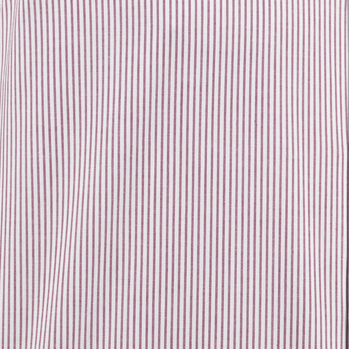 Camisa de Rayas Guida con Manga Larga 100% Algodón 2508164